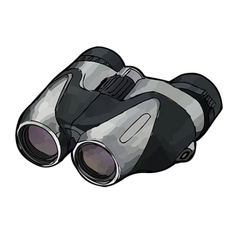 BINÓCULOS